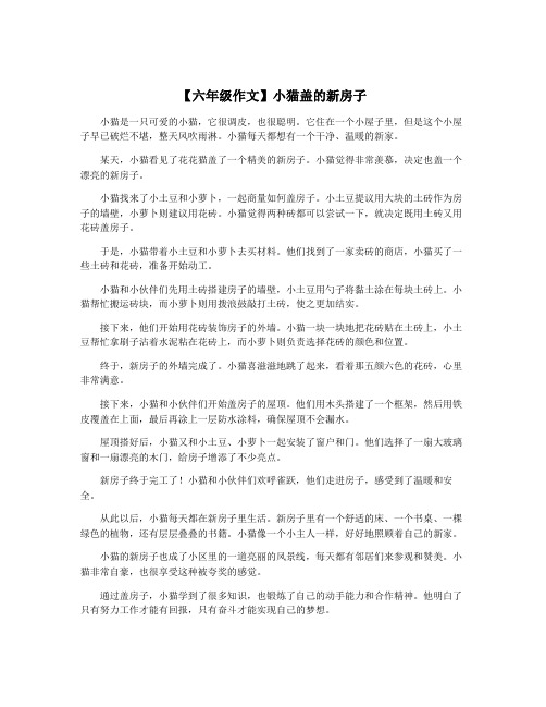 【六年级作文】小猫盖的新房子