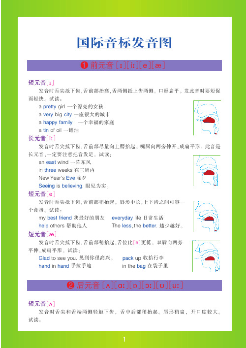 (IPA)国际音标发音示意图