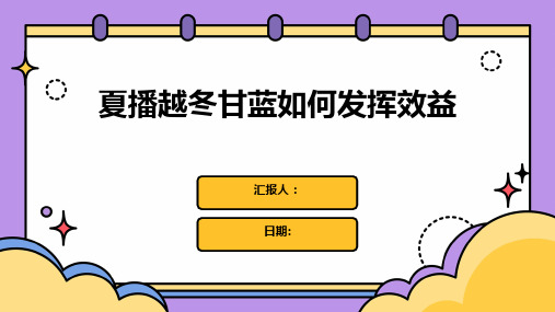 夏播越冬甘蓝如何发挥效益