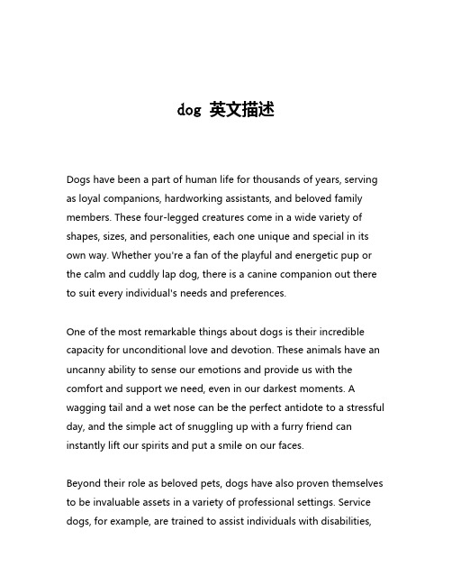 dog 英文描述