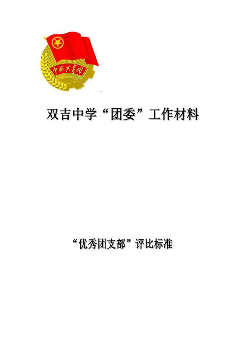 双吉中学优秀团支部评分标准