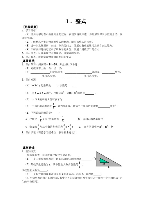 〈整式〉学案