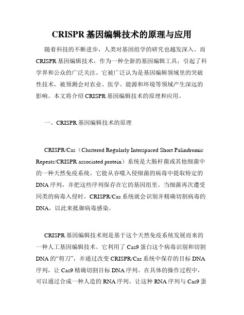 CRISPR基因编辑技术的原理与应用