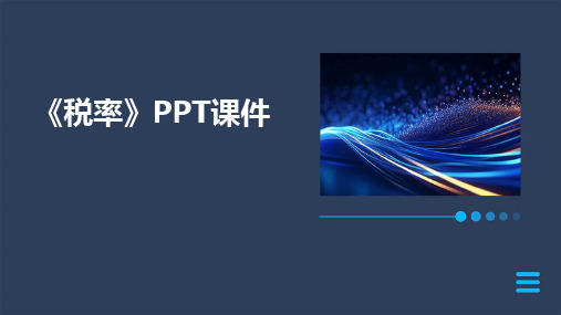 2024版《税率》PPT课件