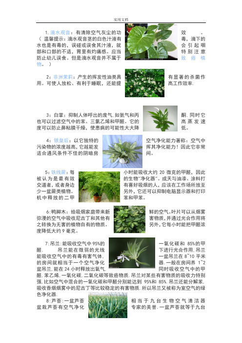 三十多种常见植物生长习性及好处