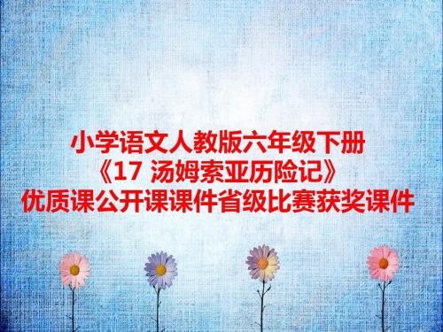 小学语文人教版六年级下册《17 汤姆索亚历险记》优质课公开课课件省级比赛获奖课件