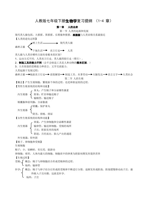 人教版七年级生物下册1-4章复习提纲