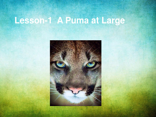 新概念三册Lesson1 A Puma at Large