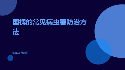 国槐的常见病虫害防治方法