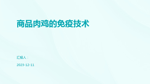 商品肉鸡的免疫技术