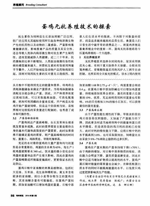 蛋鸡无抗养殖技术的探索