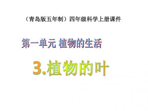 四年级科学上册 植物的叶 2课件 青岛版五年制