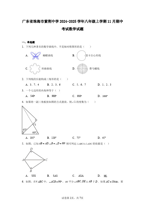 广东省珠海市紫荆中学2024-2025学年八年级上学期11月期中考试数学试题