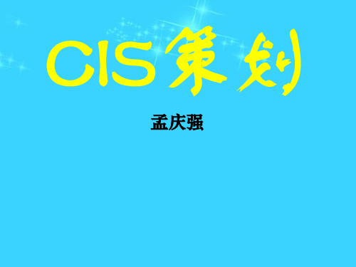 CIS的策划与设计提纲