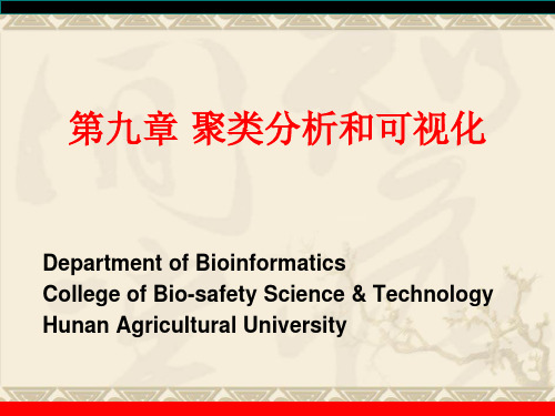 聚类分析和可视化