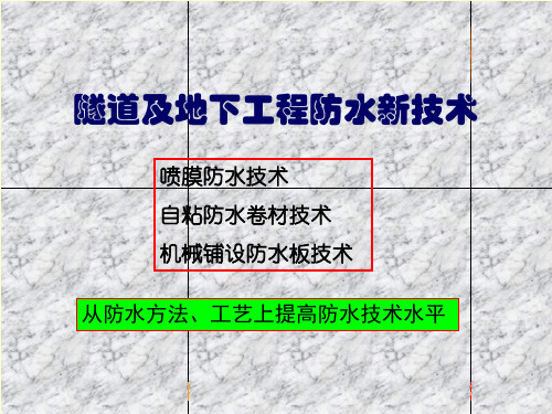 喷膜防水讲演