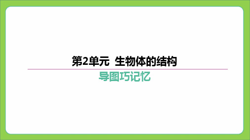 2024中考生物北师大版总复习专题突破：第2单元+生物体的结构++课件+