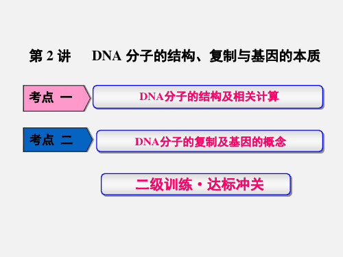 高考生物 一轮复习 基因的本质与表达 第2讲 DNA分子的结构、复制与基因的本质(必修2)