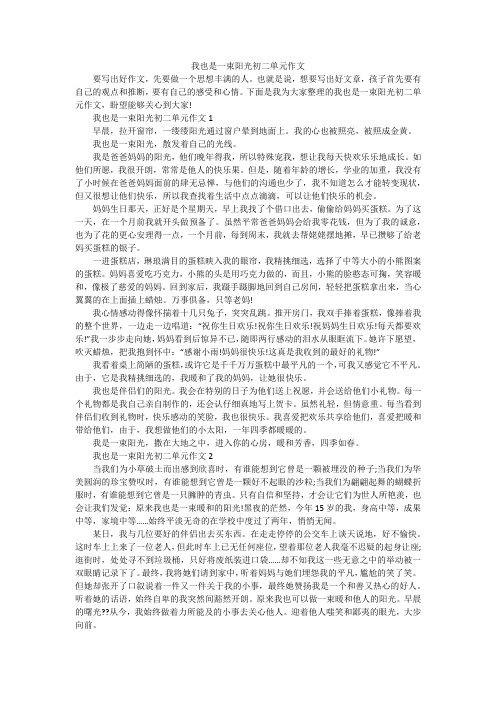 我也是一束阳光初二单元作文