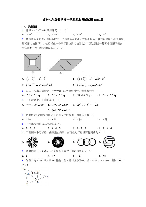 苏科七年级数学第一学期期末考试试题word版