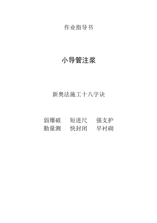 隧道作业指导书六篇_pdf