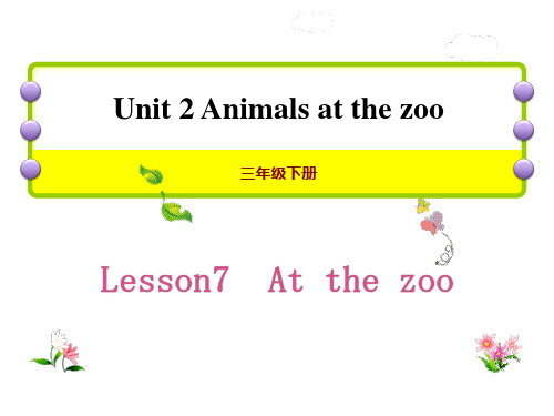 冀教版三年级英语下册At the zooAnimals at the zoo 课件