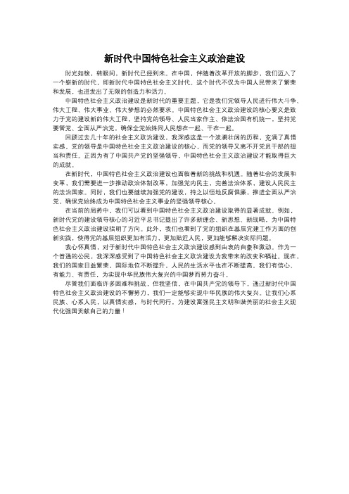 关于新时代中国特色社会主义政治建设主题的文章