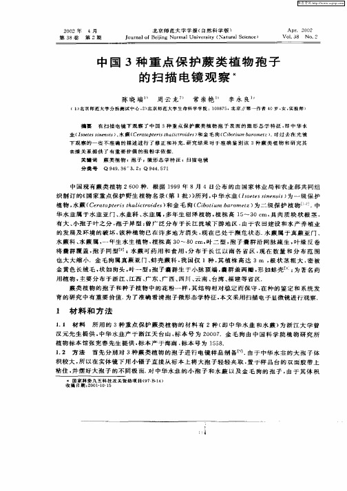 中国3种重点保护蕨类植物孢子的扫描电镜观察