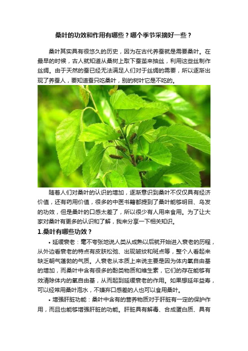 桑叶的功效和作用有哪些？哪个季节采摘好一些？