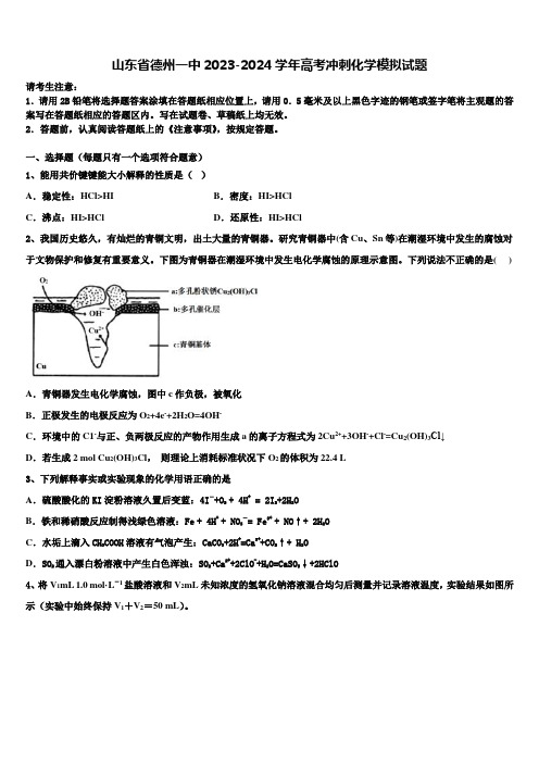 山东省德州一中2023-2024学年高考冲刺化学模拟试题含解析