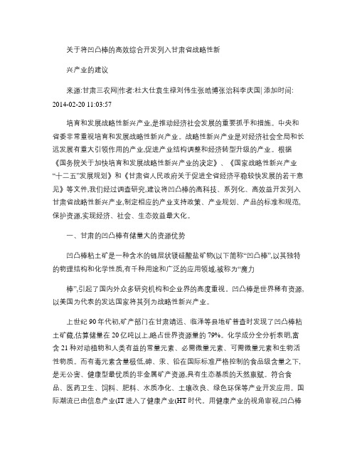 关于将凹凸棒的高效综合开发列入甘肃省战略性新兴产业的建议要点