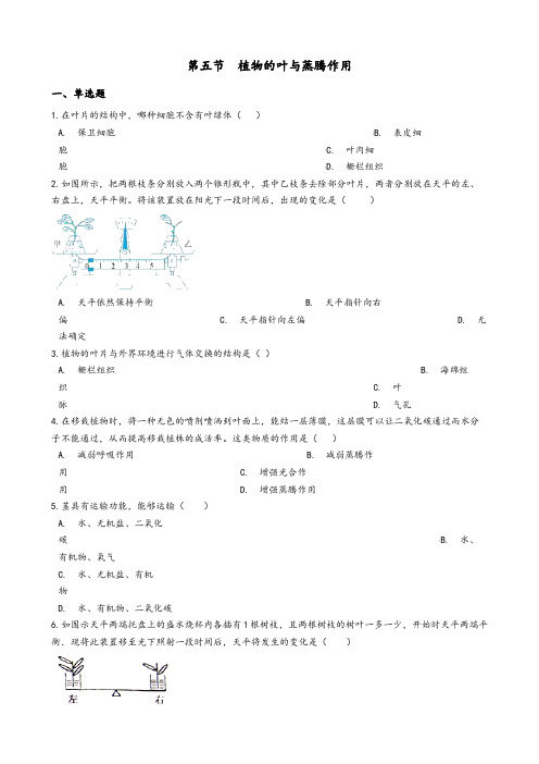 4-5 植物的叶与蒸腾作用 练习—浙教版八年级科学下册