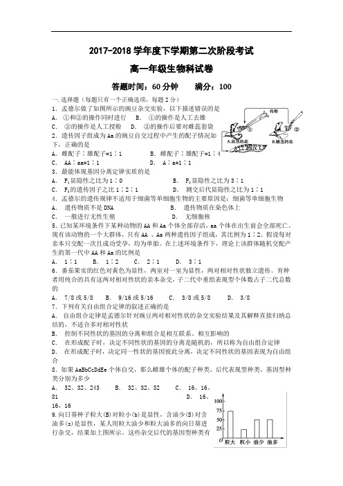 辽宁省东北育才学校2017-2018学年高一下学期第二阶段考试生物试题 Word版含答案