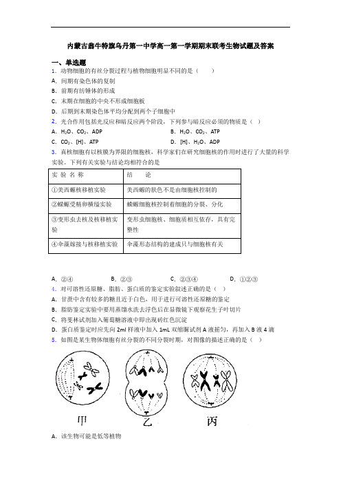 内蒙古翁牛特旗乌丹第一中学高一第一学期期末联考生物试题及答案