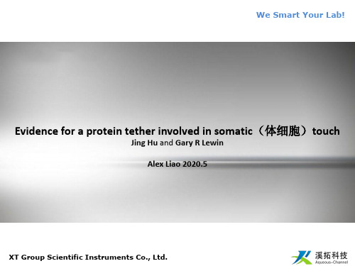 Evidence for a protein tether involved in somatic touch