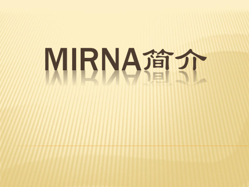 miRNA简介