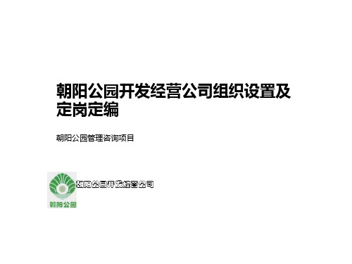 北京朝阳公园开发经营公司组织设置及定岗定编