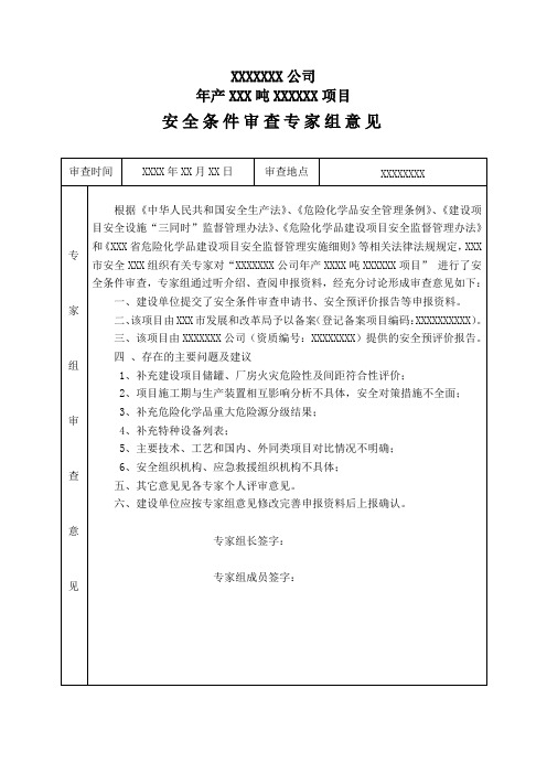 危险化学品建设项目安全条件审查专家组意见表(样表)