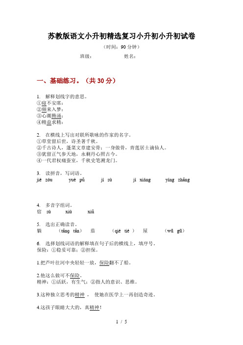 苏教版语文小升初精选复习试卷