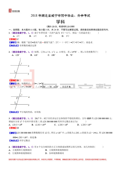 2018湖北咸宁中考数学解析