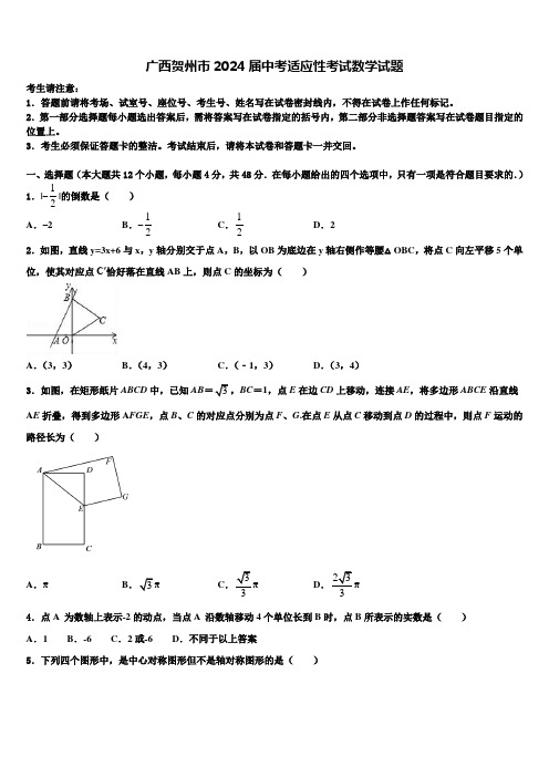 广西贺州市2024届中考适应性考试数学试题含解析