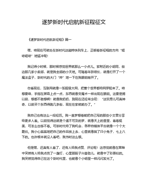 逐梦新时代启航新征程征文