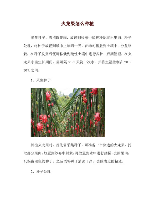 火龙果怎么种植