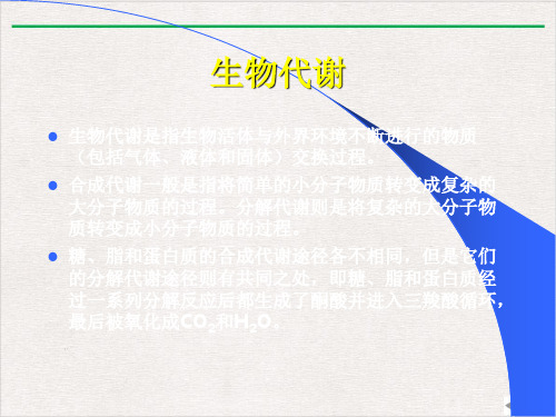 生物化学—生物氧化课件ppt