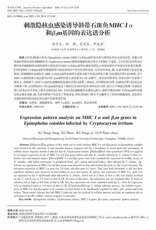 刺激隐核虫感染诱导斜带石斑鱼MHCIα和β2m基因的表达谱分析