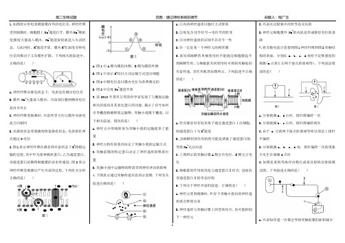 《通过神经系统的调节》试题附答案