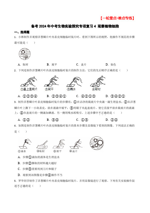 【一轮重难点专题】备考2024年中考生物实验探究专项复习4 观察植物细胞