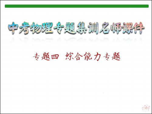 4.综合能力专题_中考物理专题集训名师课件