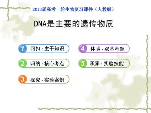 遗传的分子基础(基因本质)