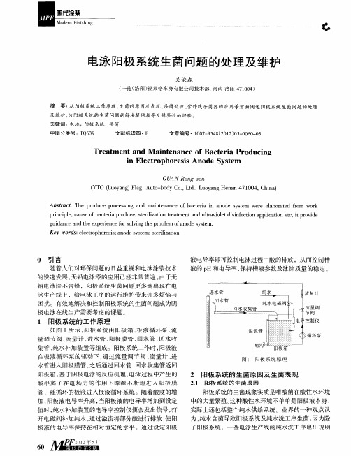 电泳阳极系统生菌问题的处理及维护